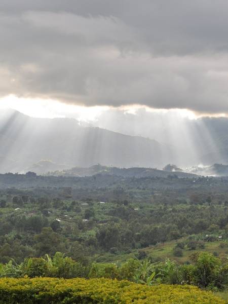 Engagement environnemental Jenny-Oil